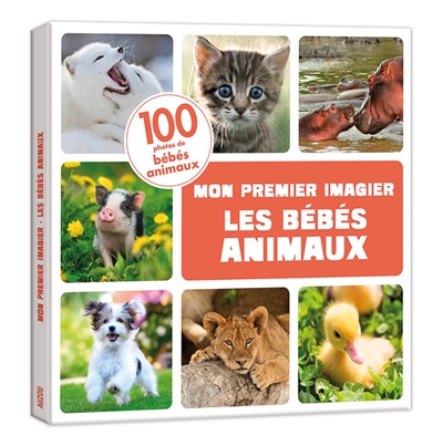 Les bébés animaux : 100 photos de bébés animaux