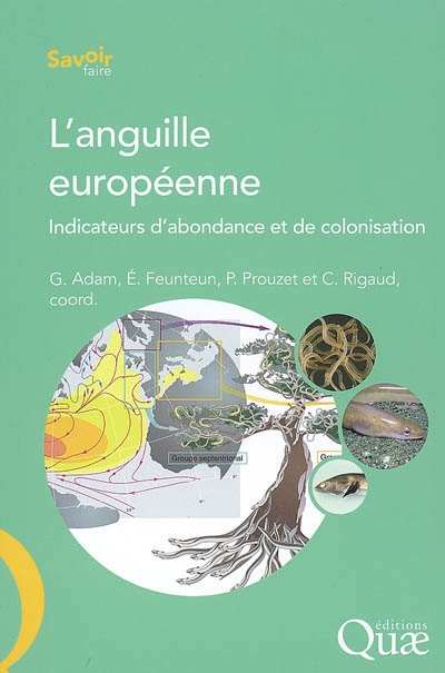 L'anguille européenne : indicateurs d'abondance et de colonisation