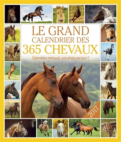 Le grand calendrier des 365 chevaux 2017 : calendrier mensuel, une photo par jour !