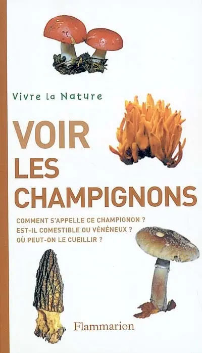Voir les champignons