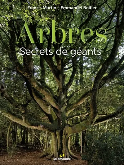Arbres : secrets de géants