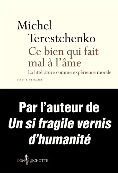 Ce bien qui fait mal à l'âme : la littérature comme expérience morale : essai littéraire