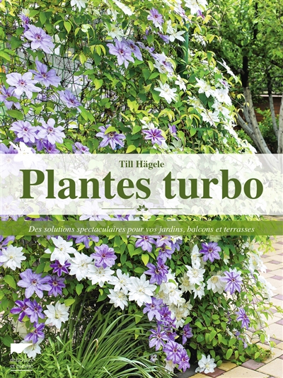 Plantes turbo : des solutions spectaculaires pour vos jardins, balcons et terrasses