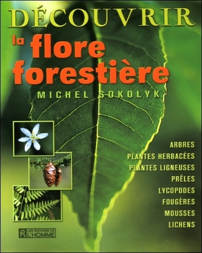 Découvrir la flore forestière