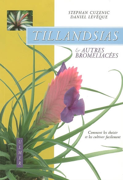 Tillandsias & autres bromeliacées
