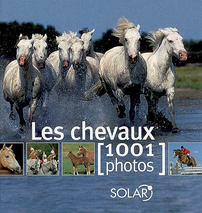 Les Chevaux 1001 photos