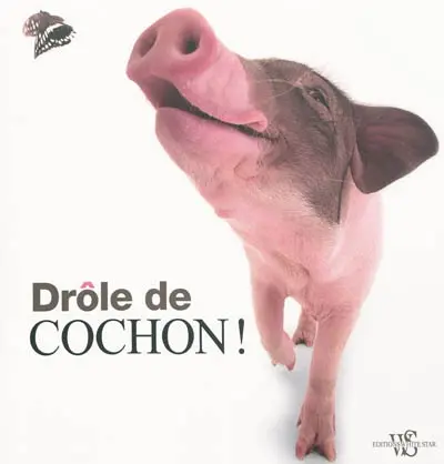 Drôle de cochon !