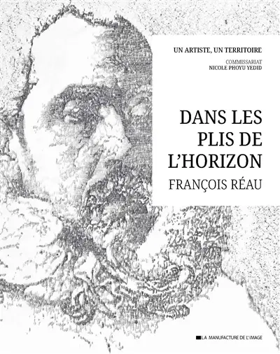 Dans les plis de l'horizon : un artiste, un territoire