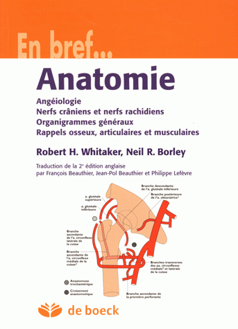 Anatomie : angéiologie, nerfs crâniens et nerfs rachidiens, organigrammes généraux, rappels osseux, articulaires et musculaires