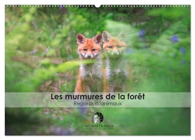 Les murmures de la forêt : Regards d'animaux (Calendrier mural 2026 DIN A2 vertical), CALVENDO calendrier mensuel : Un calendrier fascinant qui révèle, mois après mois, la beauté sauvage des animaux de la forêt saisis dans l’intimité de leurs regards.