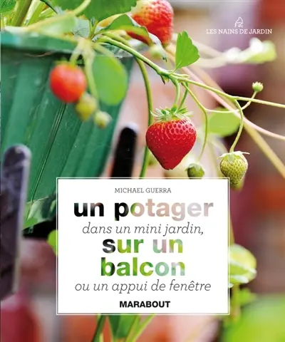 Un potager dans un mini-jardin, sur un balcon ou un appui de fenêtre