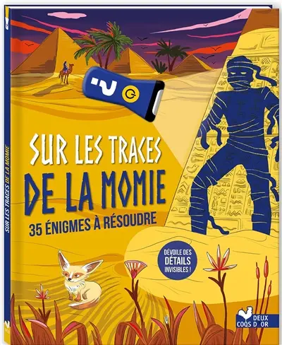 Sur les traces de la momie : 35 énigmes à résoudre