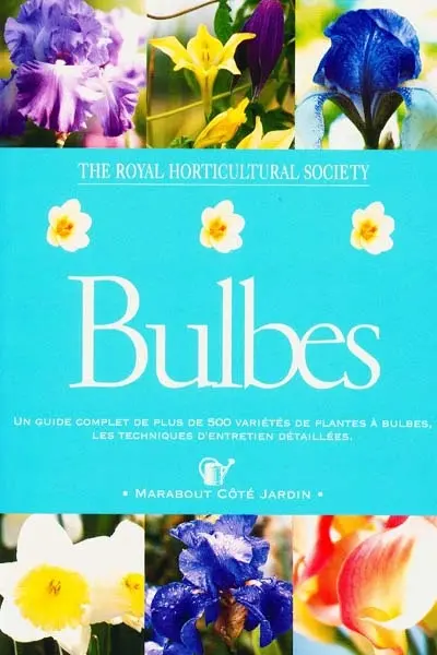 Bulbes