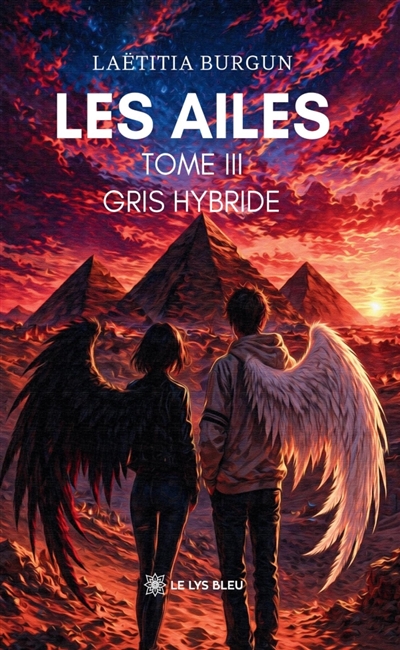 Les ailes : Tome III : Gris...