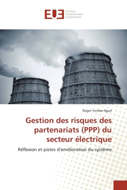 Gestion des risques des partenariats (PPP) du secteur électrique : Réflexion et pistes d'amélioration du système