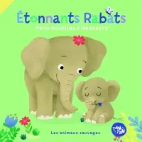 Les animaux sauvages : faits insolites à découvrir