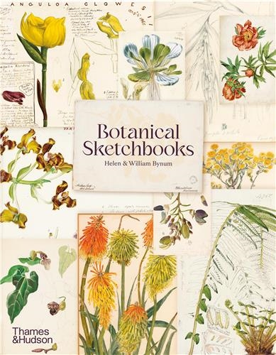 Botanical Sketchbooks (paperback)