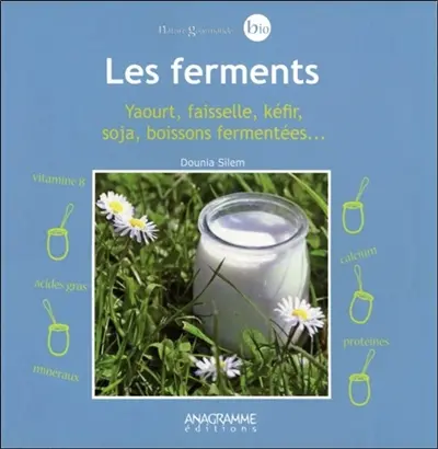 Les ferments : yaourt, faisselle, kéfir, soja, boissons fermentées...
