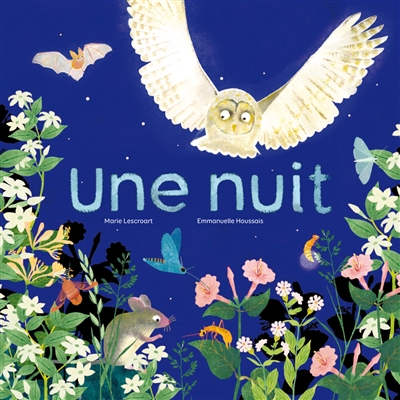 Une nuit