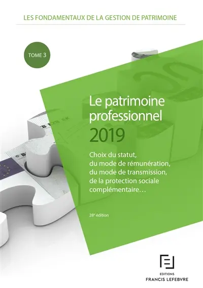 Les fondamentaux de la gestion de patrimoine. Vol. 2. Le patrimoine professionnel 2019 : choix du statut, du mode de rémunération, du mode de transmission, de la protection sociale complémentaire...