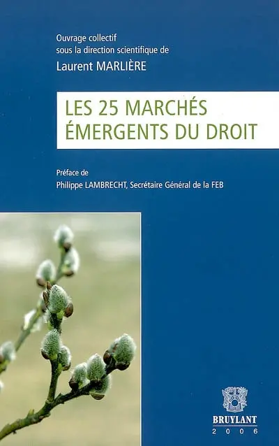 Les 25 marchés émergents du droit