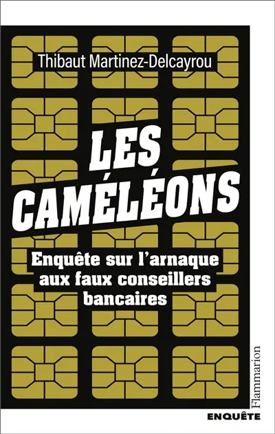 Les caméléons : enquête sur l'arnaque aux faux conseillers bancaires