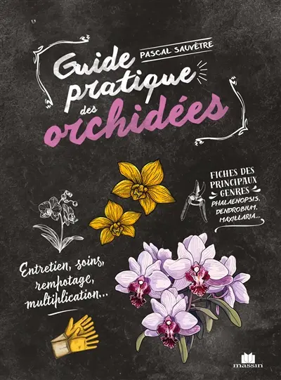 Guide pratique des orchidées : entretien, soins, rempotage, multiplication...