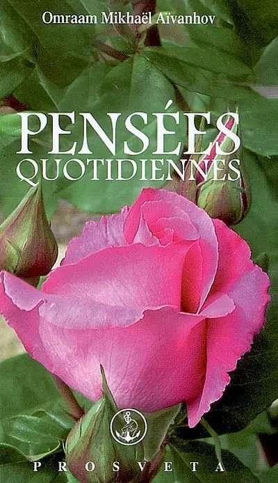 Pensées quotidiennes : 2010