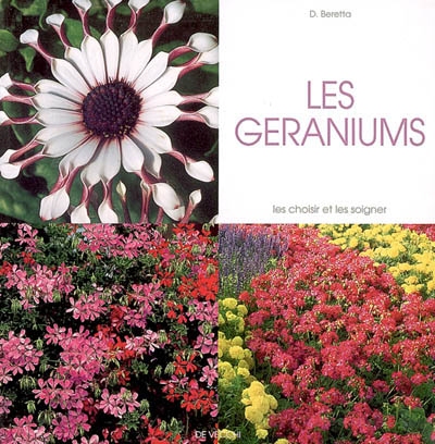 Les géraniums : les choisir et les soigner