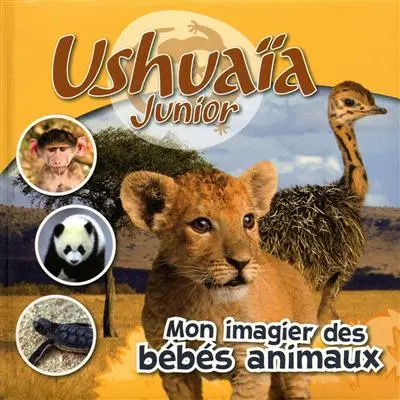 Mon imagier des bébés animaux