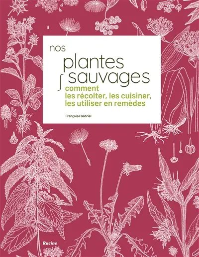 Nos plantes sauvages : comment les récolter, les cuisiner, les utiliser en remèdes