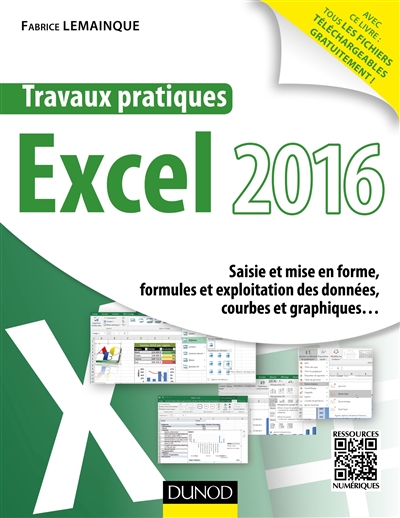Travaux pratiques Excel 2016 : saisie et mise en forme, formules et exploitation des données, courbes et graphiques...