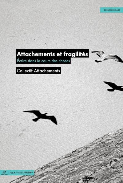 Attachements et fragilité : écrire dans le cours des choses