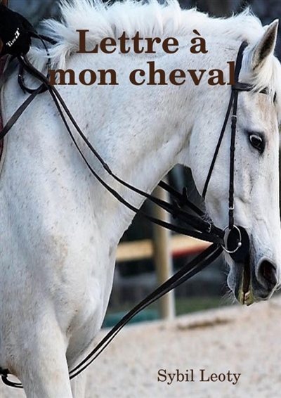Lettre à mon cheval