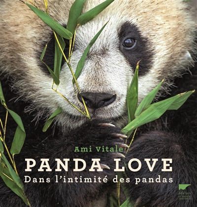 Panda love : dans l'intimité des pandas