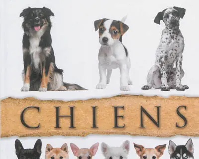 Chiens