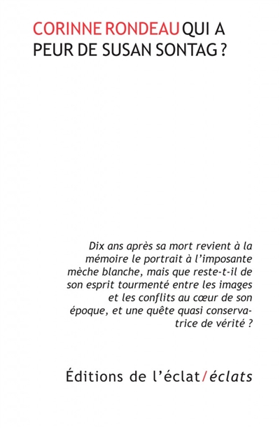 Qui a peur de Susan Sontag ?