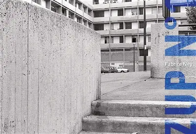 ZUP n° 1 : Busserine, Saint-Barthélemy III, Picon : Marseille, 1981-1983