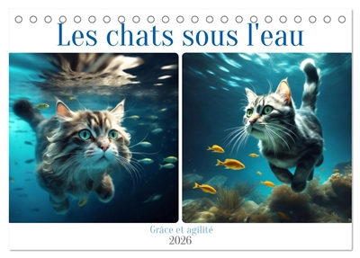 Les chats sous l'eau...