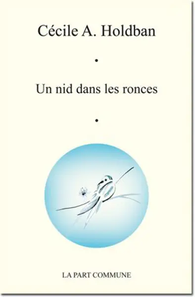 Un nid dans les ronces