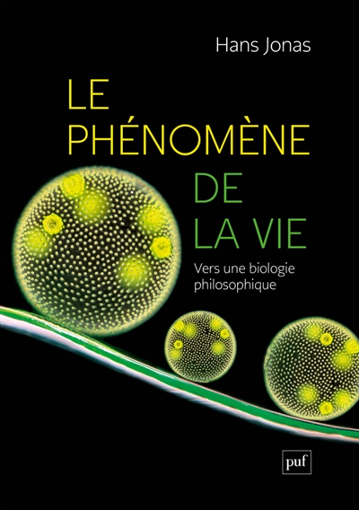 Le phénomène de la vie : vers une biologie philosophique