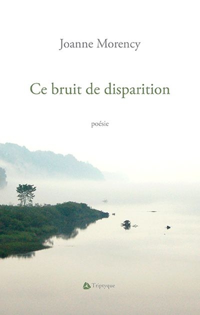 Ce bruit de disparition