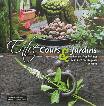 Entre cours & jardins : perspectives inédites de la Cité Plantagenêt au Mans