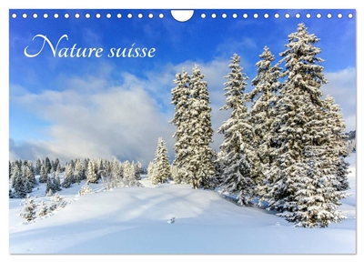 Nature suisse (Calendrier mural 2025 DIN A4 vertical), CALVENDO calendrier mensuel : Les paysages de Suisse, un plaisir pour les yeux !