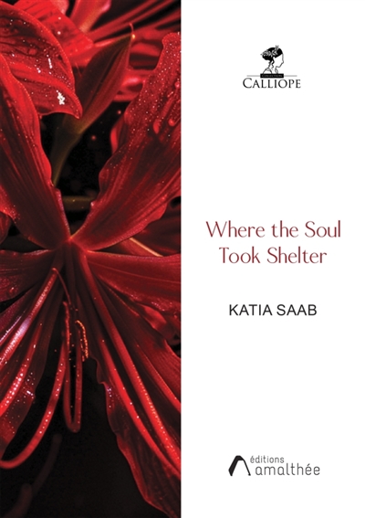 Where the Soul Took Shelter