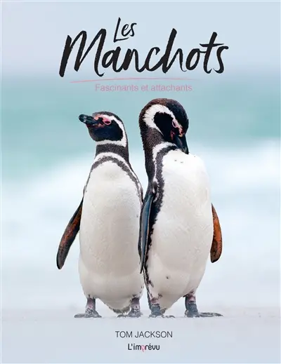Les manchots : fascinants et attachants