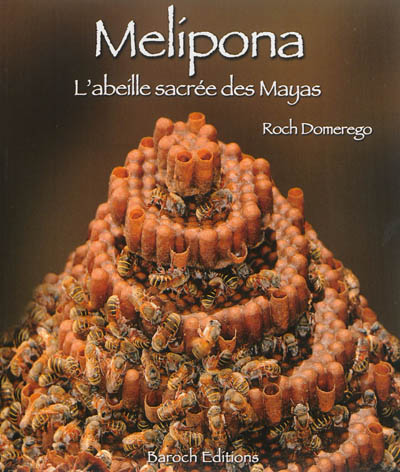 Melipona : l'abeille sacrée des Mayas