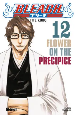Bleach. Vol. 12. Flower on the precipice