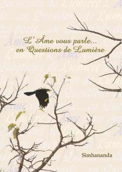 L'âme vous parle...en questions de lumière : petit livre d'interrogation-de-soi de Simhananda proposant 308 enquêtes divines
