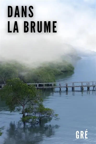 Dans la brume